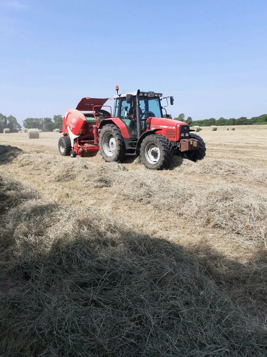 Hay for sale - Image 4