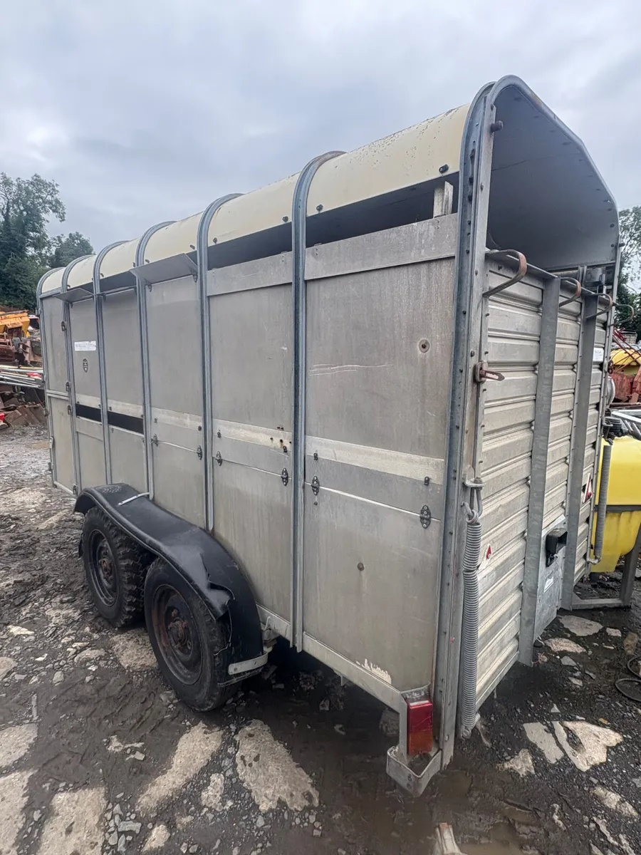 Ifor Williams 12ft cattle trailer - Image 2