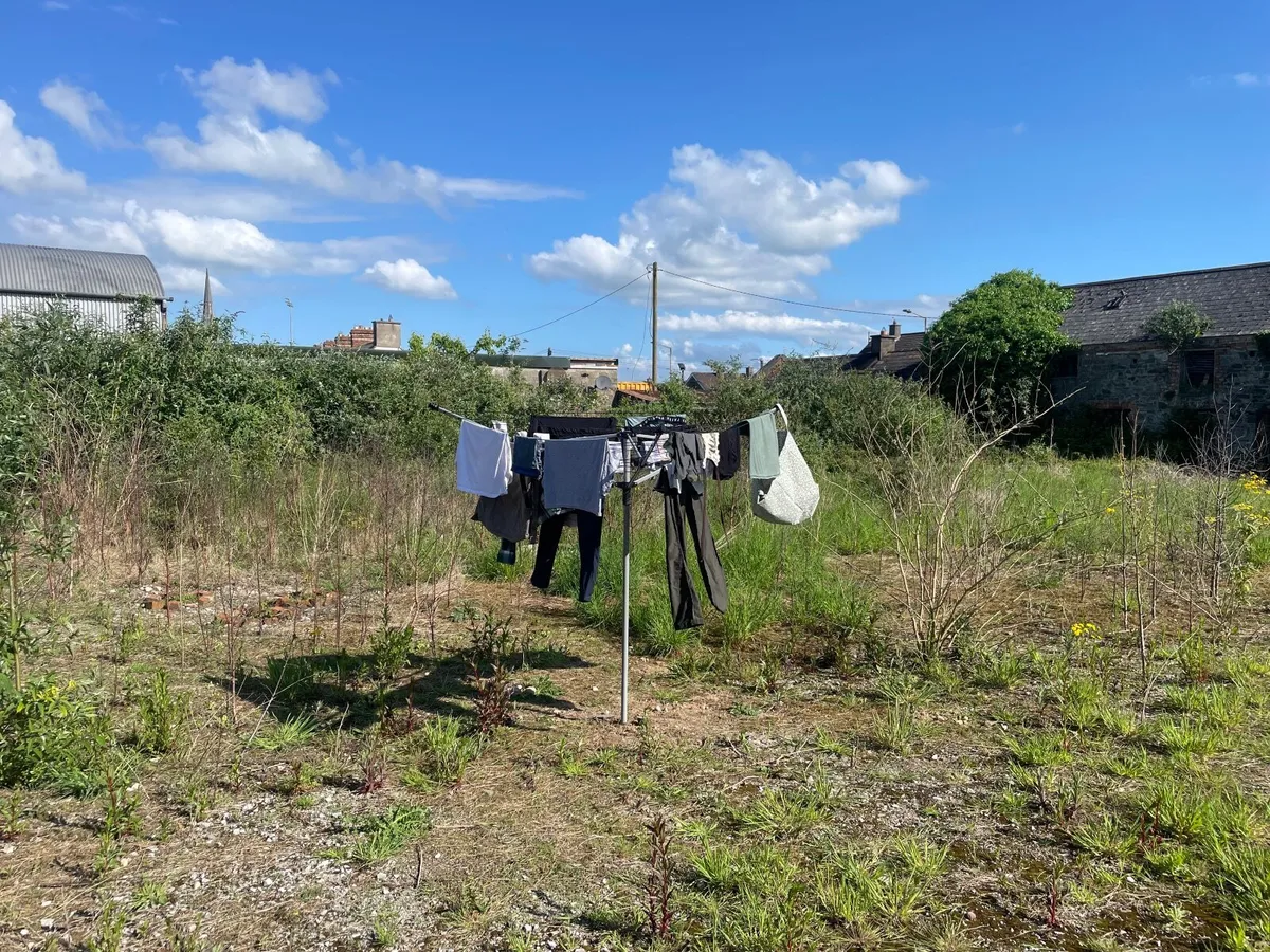 Rotary Airer/ Clothes Line - Image 1