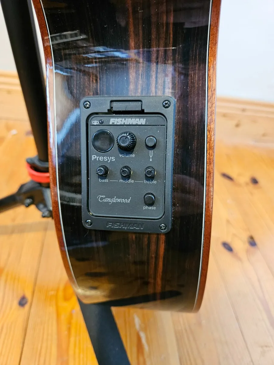 Beautiful Tanglewood  Guitar for Sale - Image 2