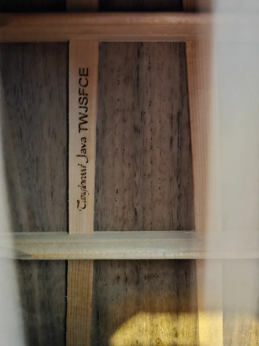 Beautiful Tanglewood  Guitar for Sale - Image 3