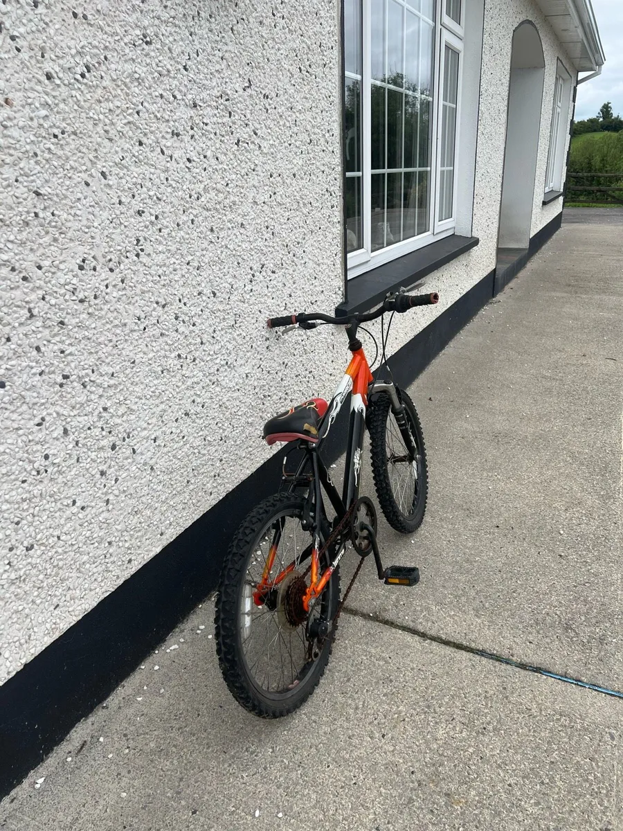 Bike - Image 2