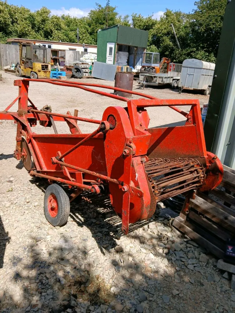 Herbst potato harvester - Image 1