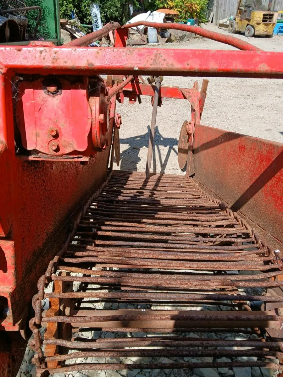 Herbst potato harvester - Image 2