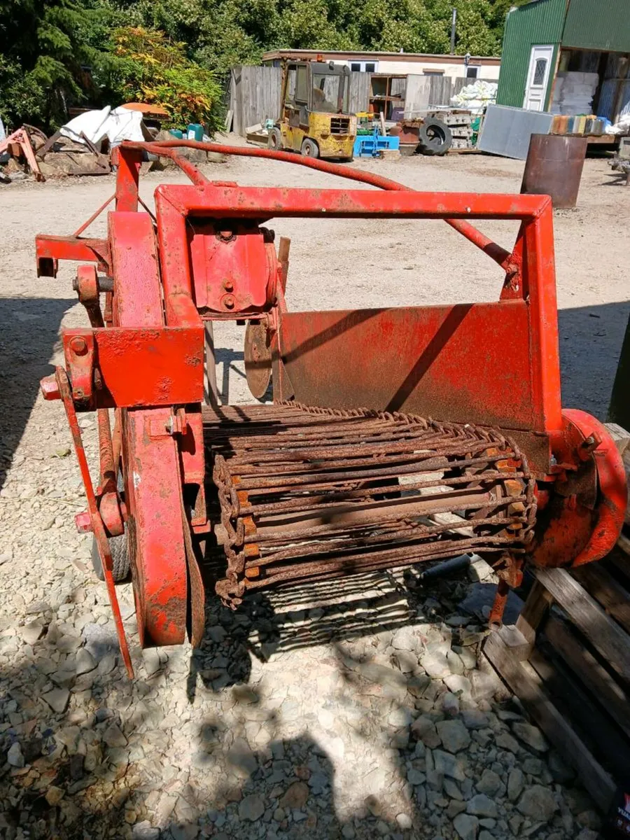 Herbst potato harvester - Image 3