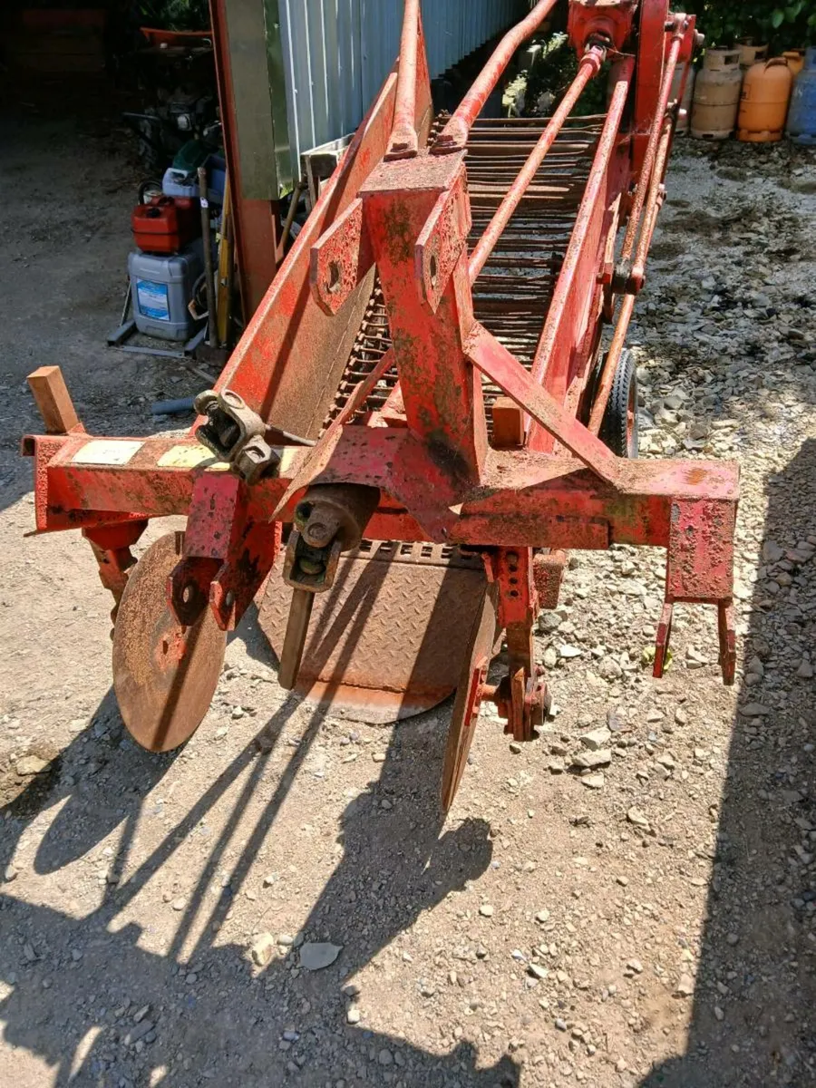 Herbst potato harvester - Image 4