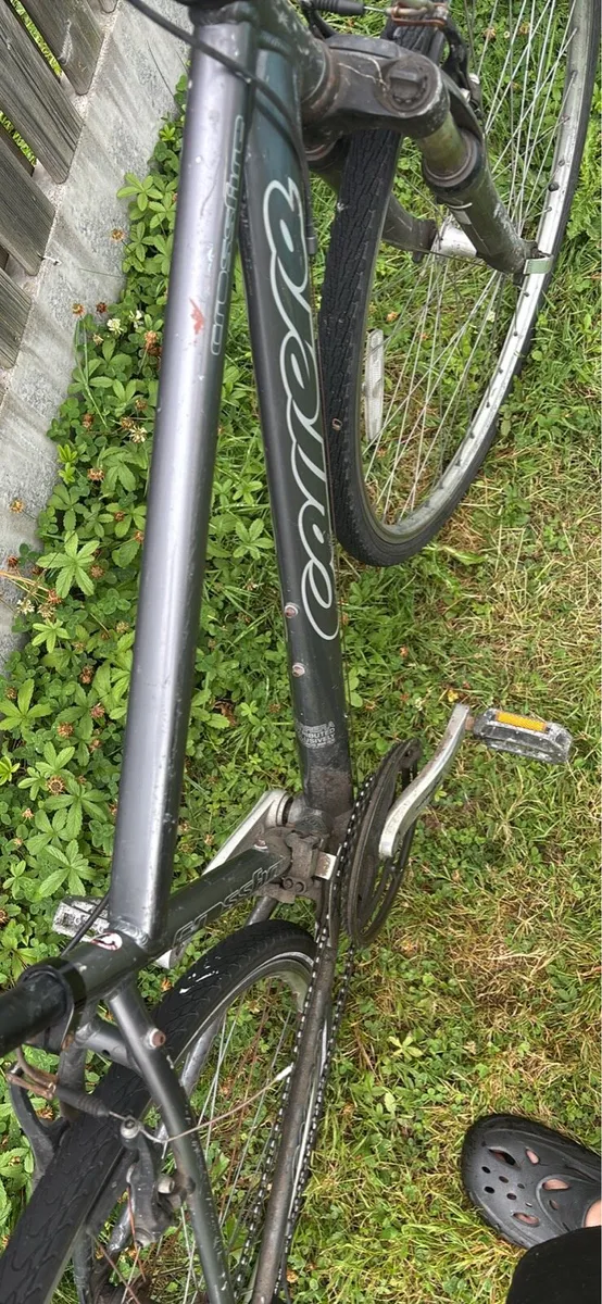 Carrera crossfire hybrid bike for sale - Image 3