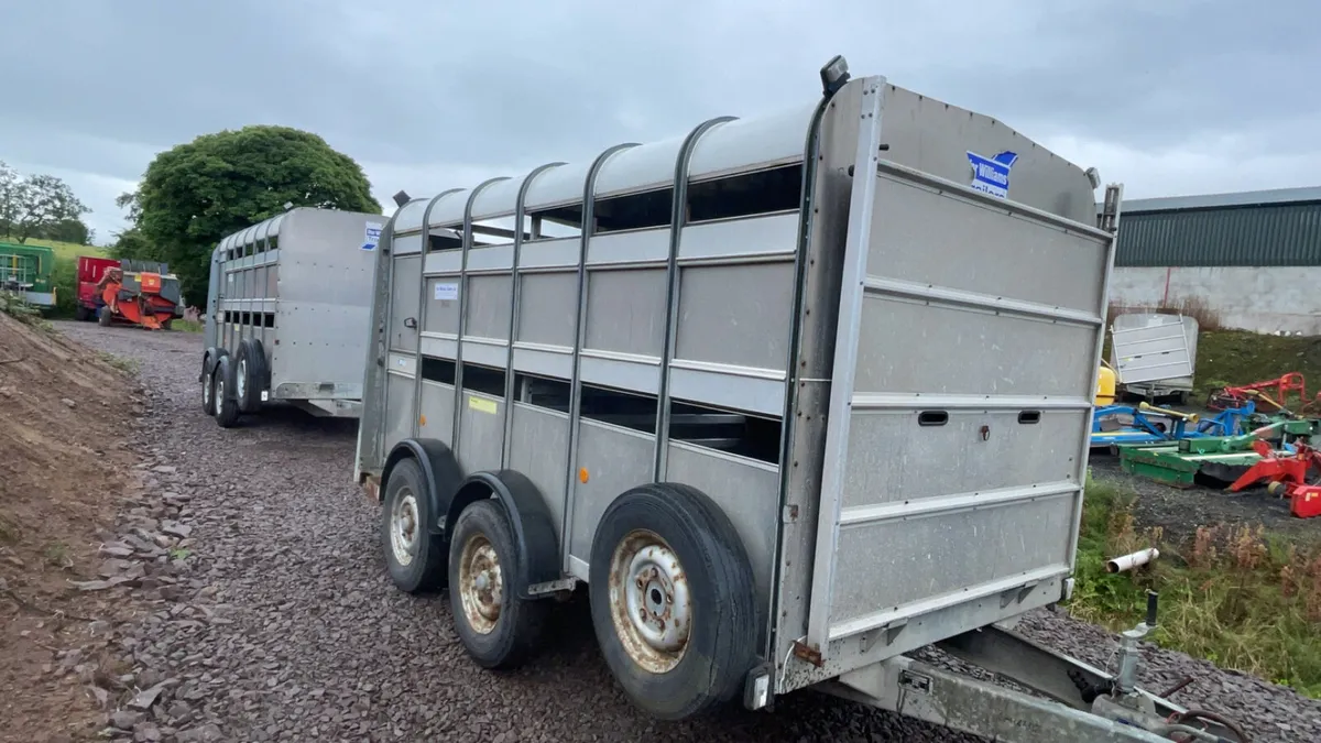 Ifor Williams 12ft x 5ft 10” cattle trailers - Image 1