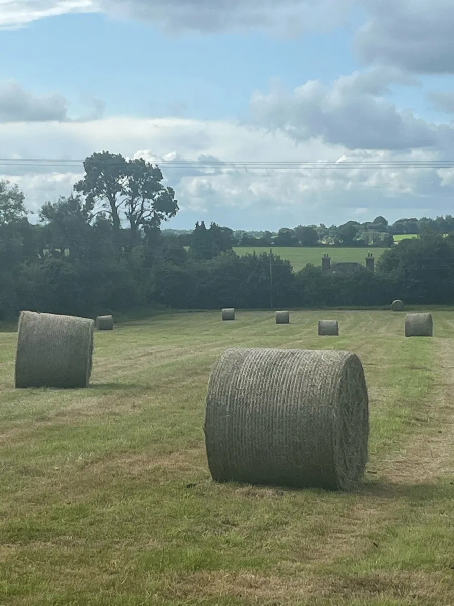 Round Bales Hay