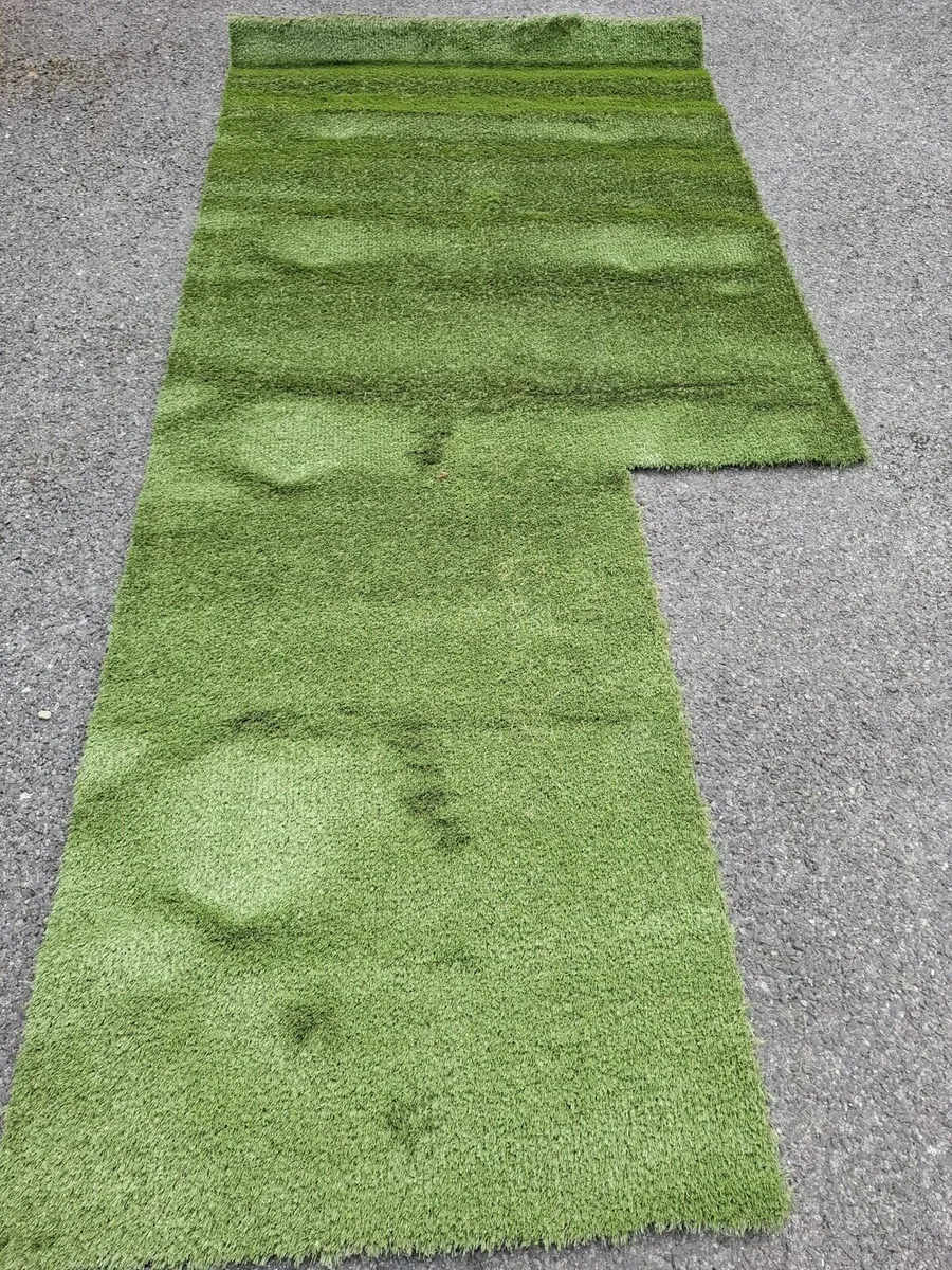 Artificial grass - Image 1