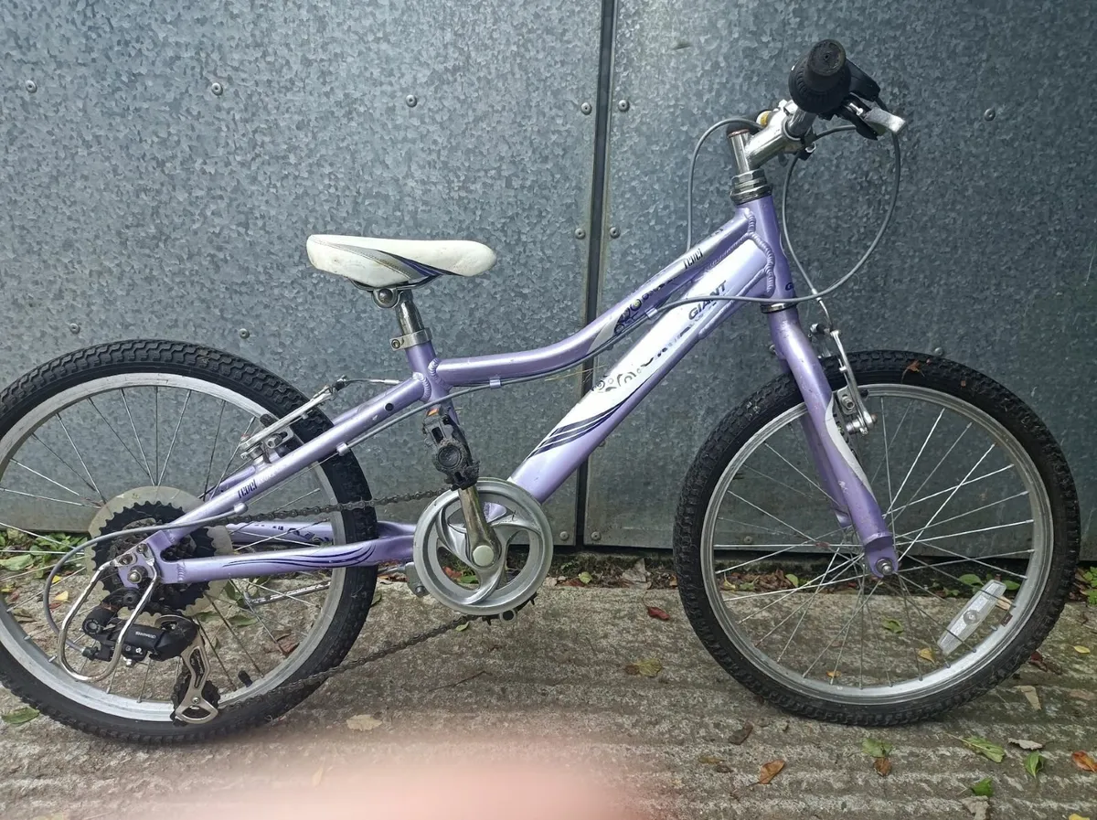 "Giant" Bike - Image 2