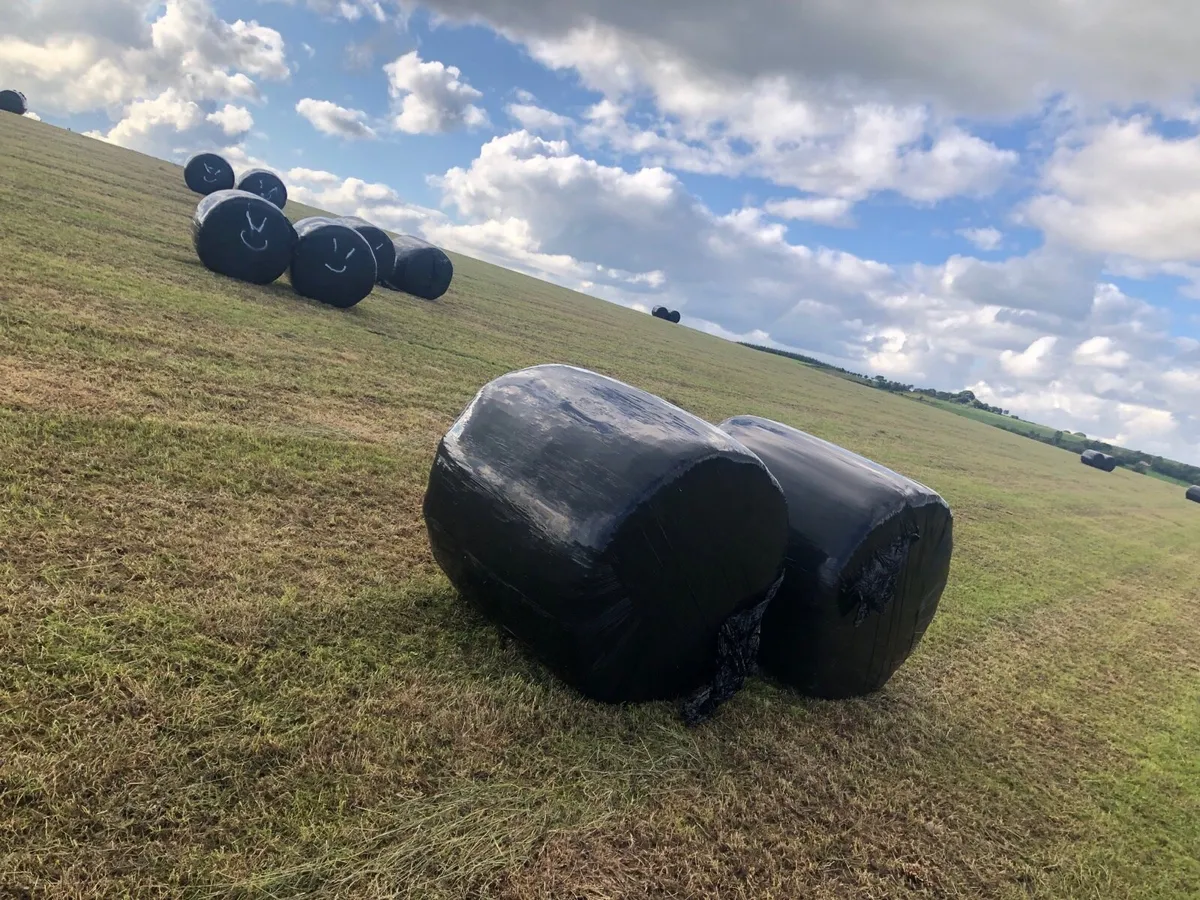 Silage bales - Image 2