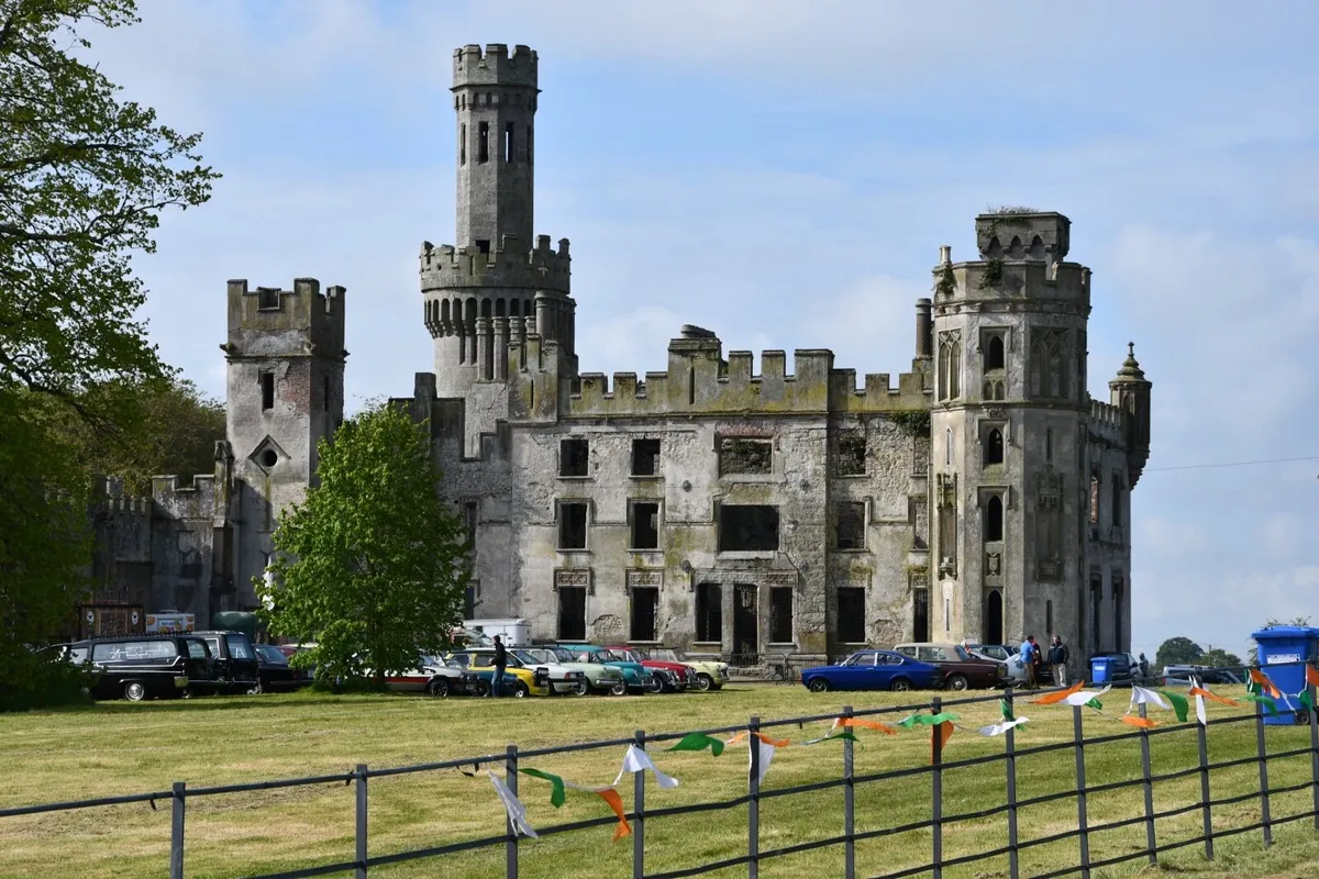 Duckett's Grove Annual Show 2025 - Image 2