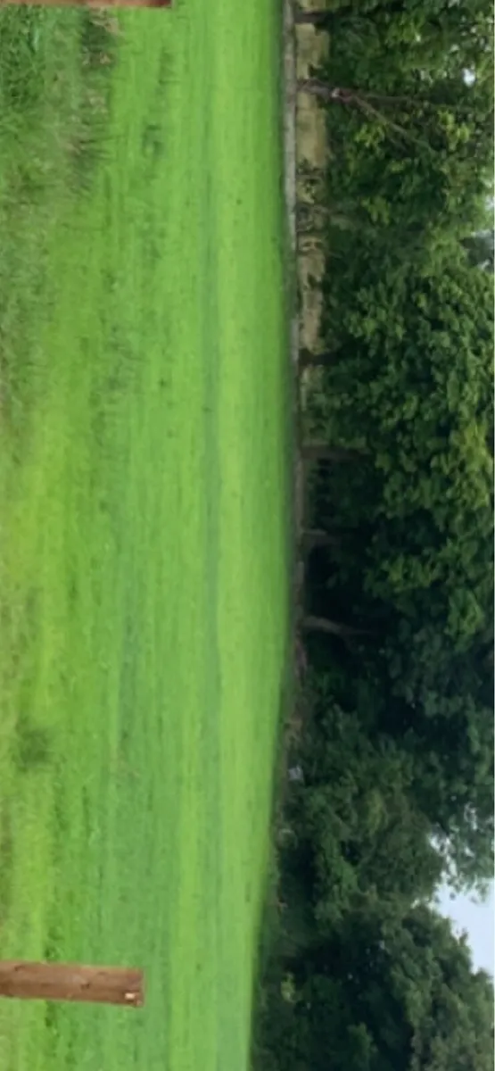6.6 acres grass *rent* - Image 2