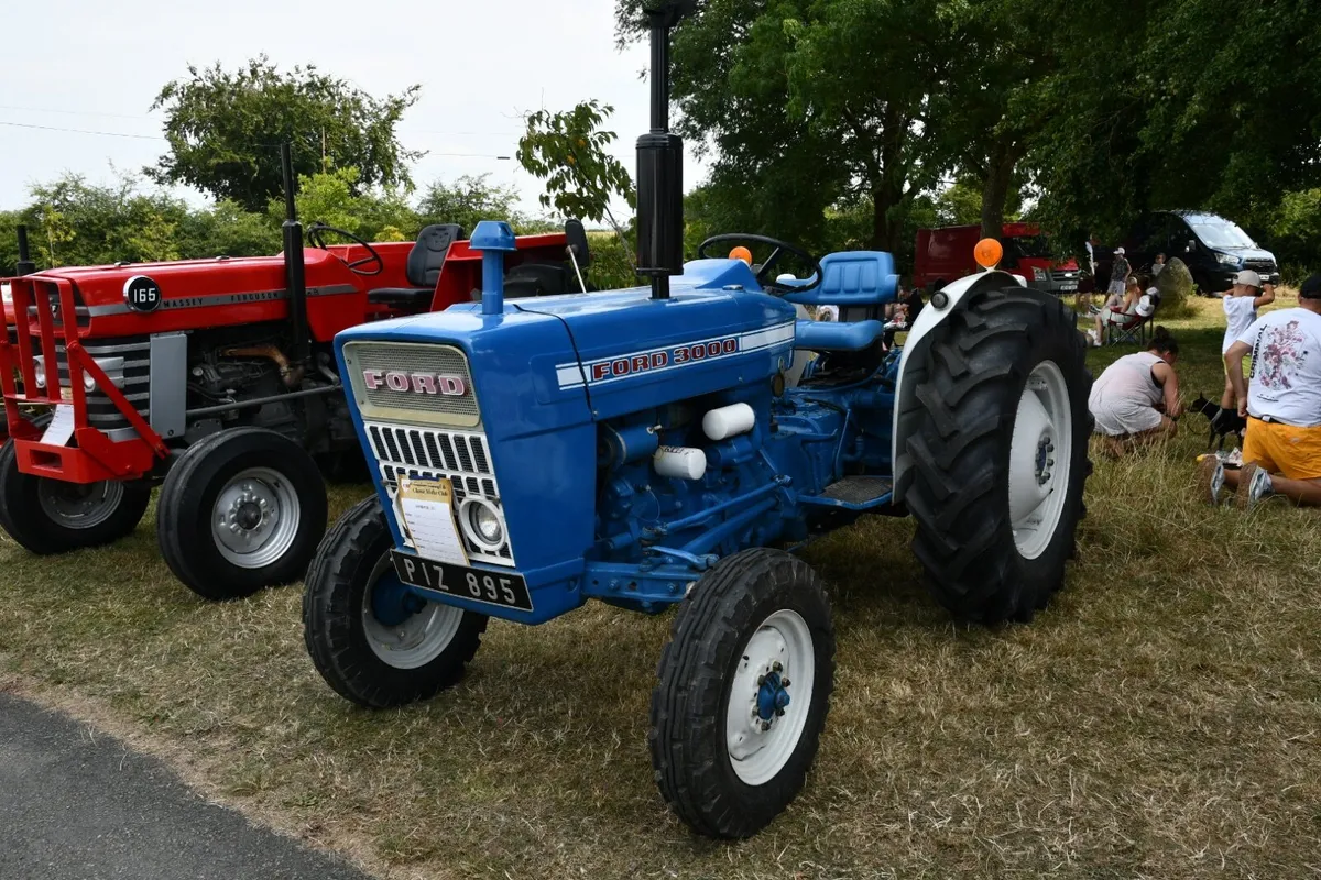 Duckett's Grove Annual Show 2025 - Image 3