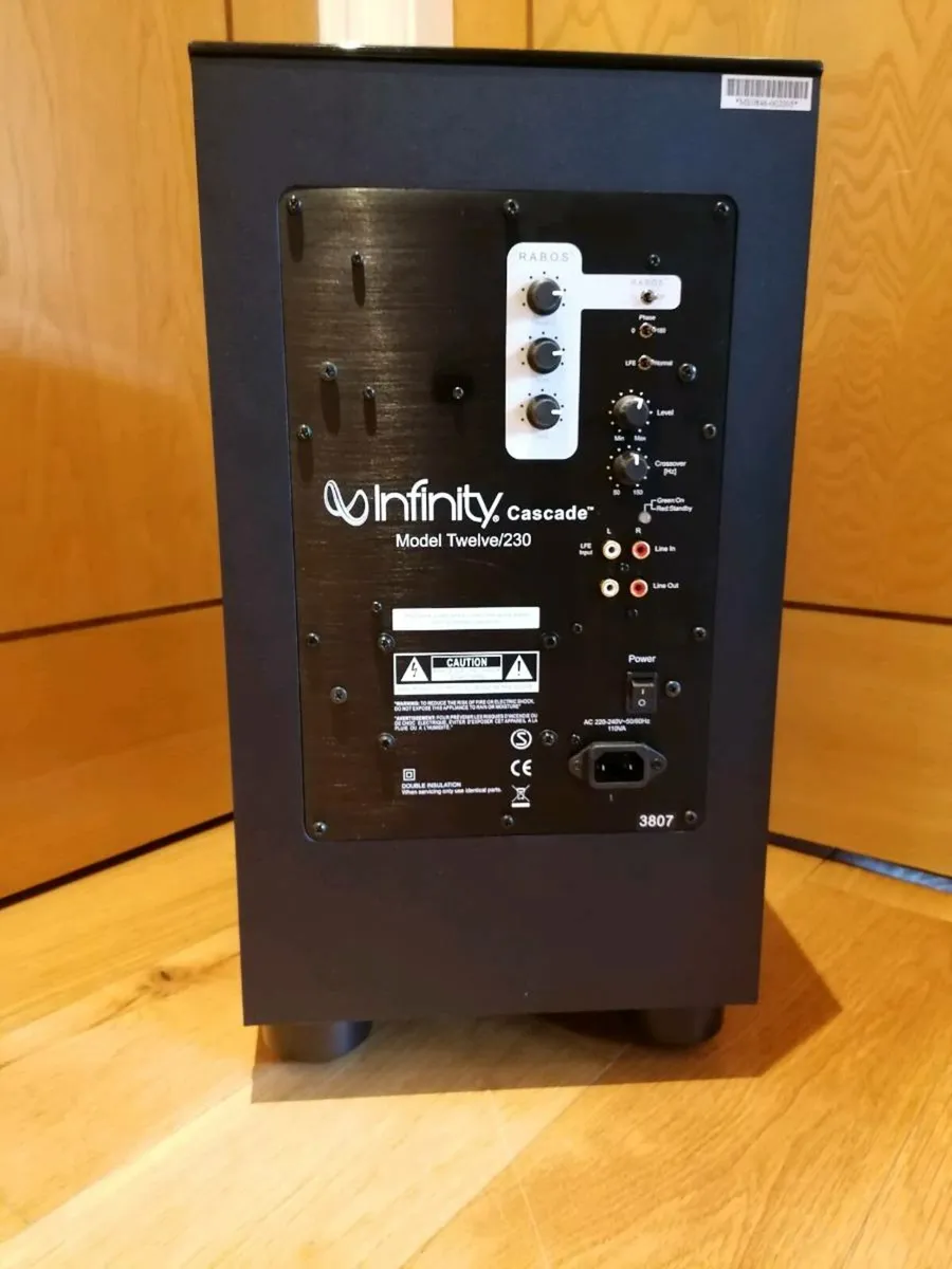 Infinity 300 watt Subwoofer - Image 4
