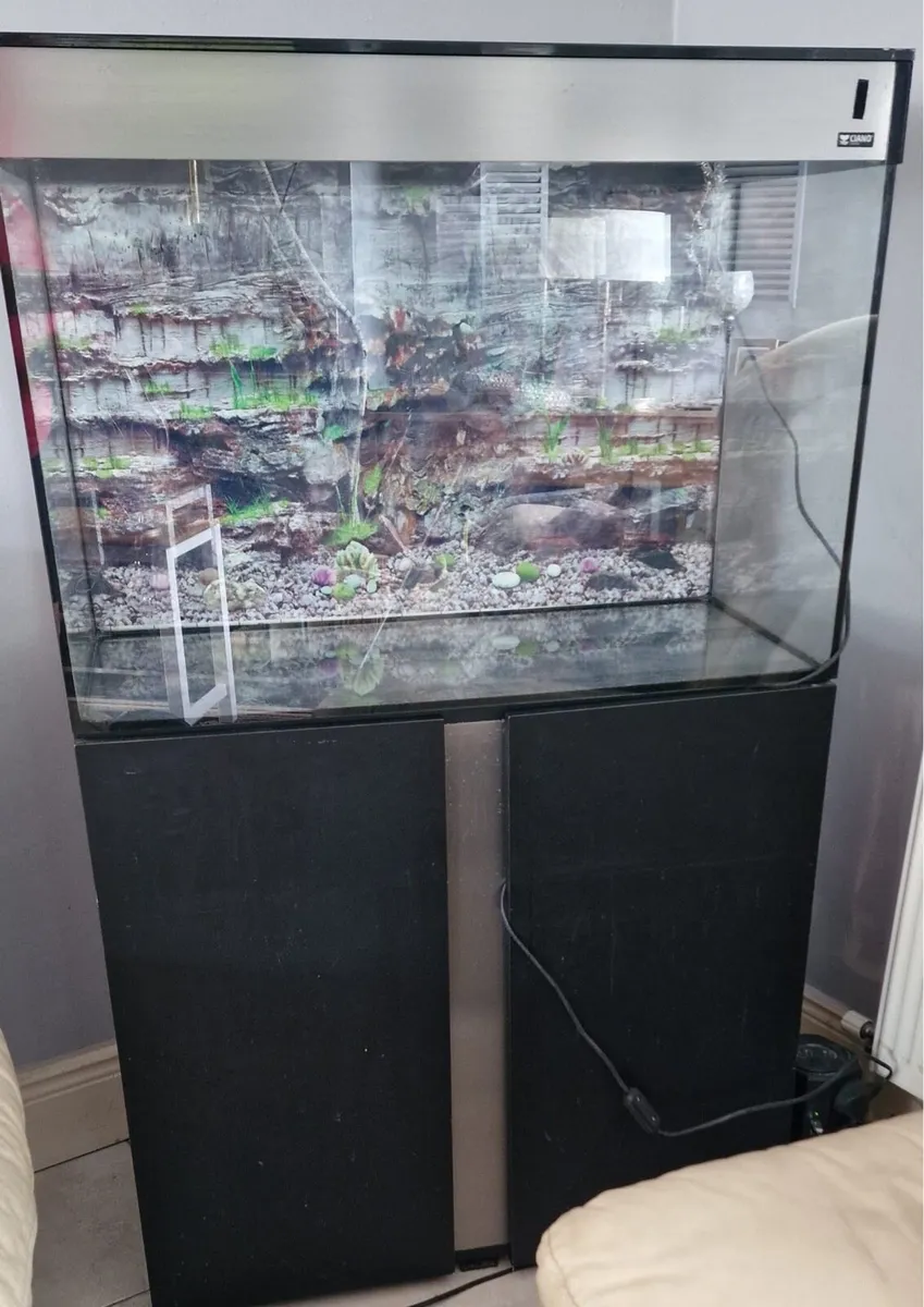 Fish tank - Image 1