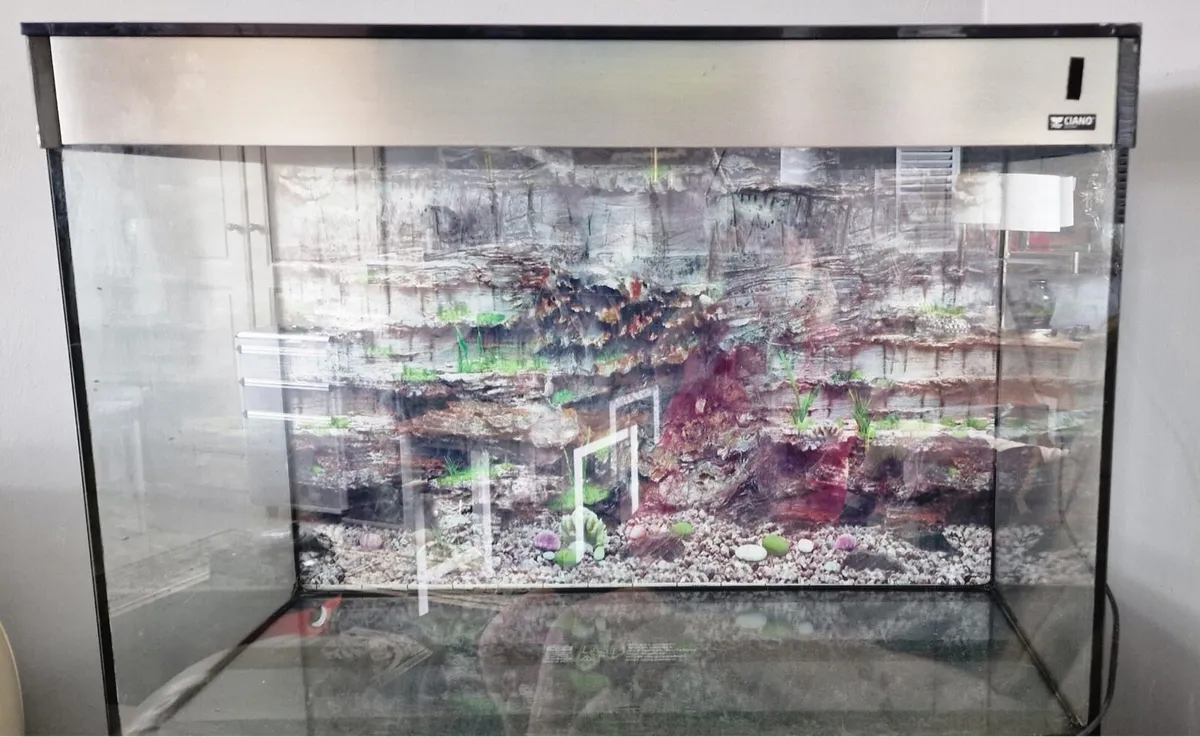 Fish tank - Image 2