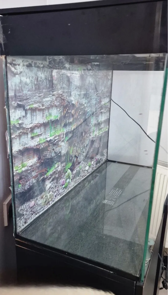 Fish tank - Image 4
