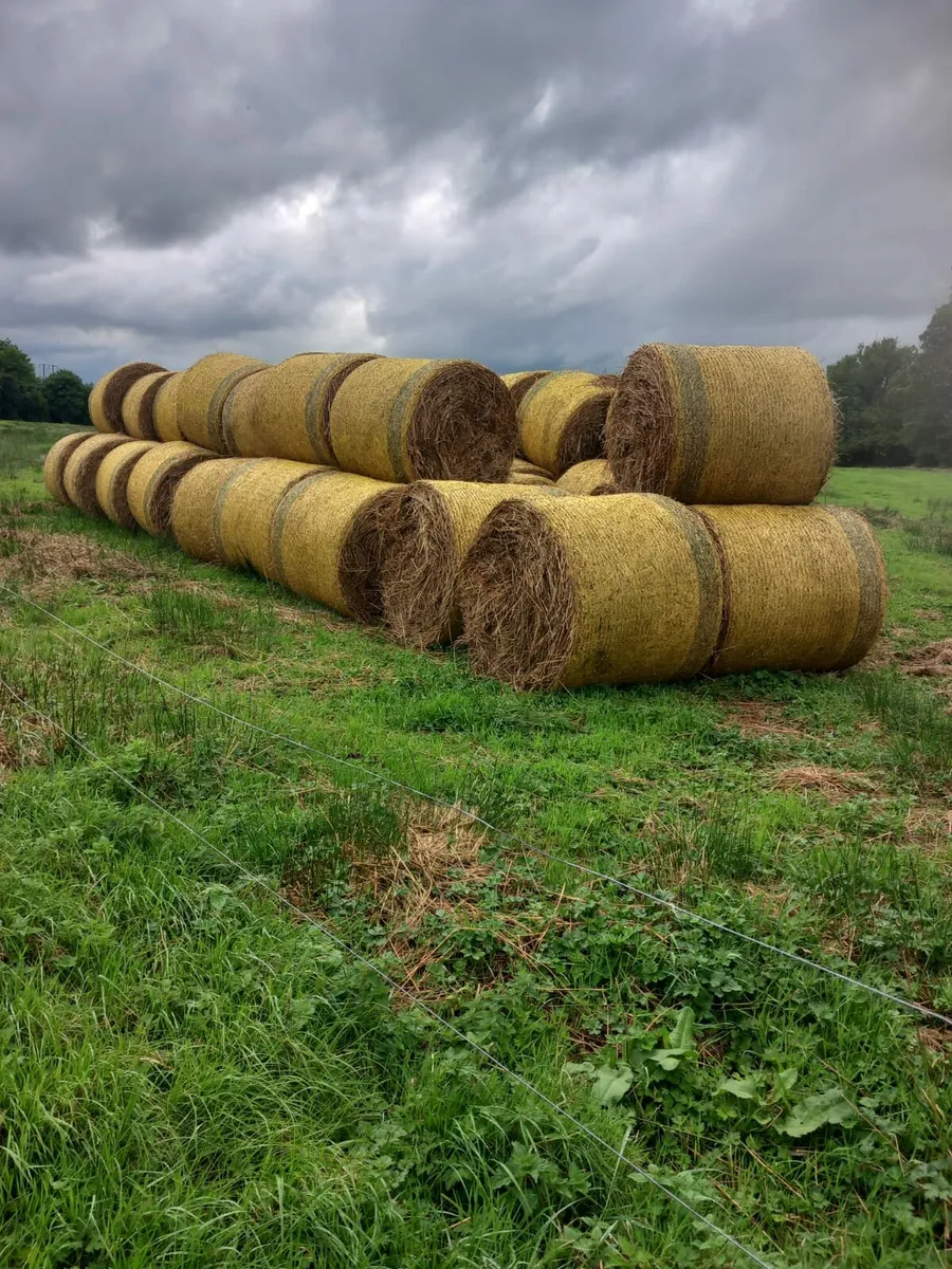 Bales of rushes