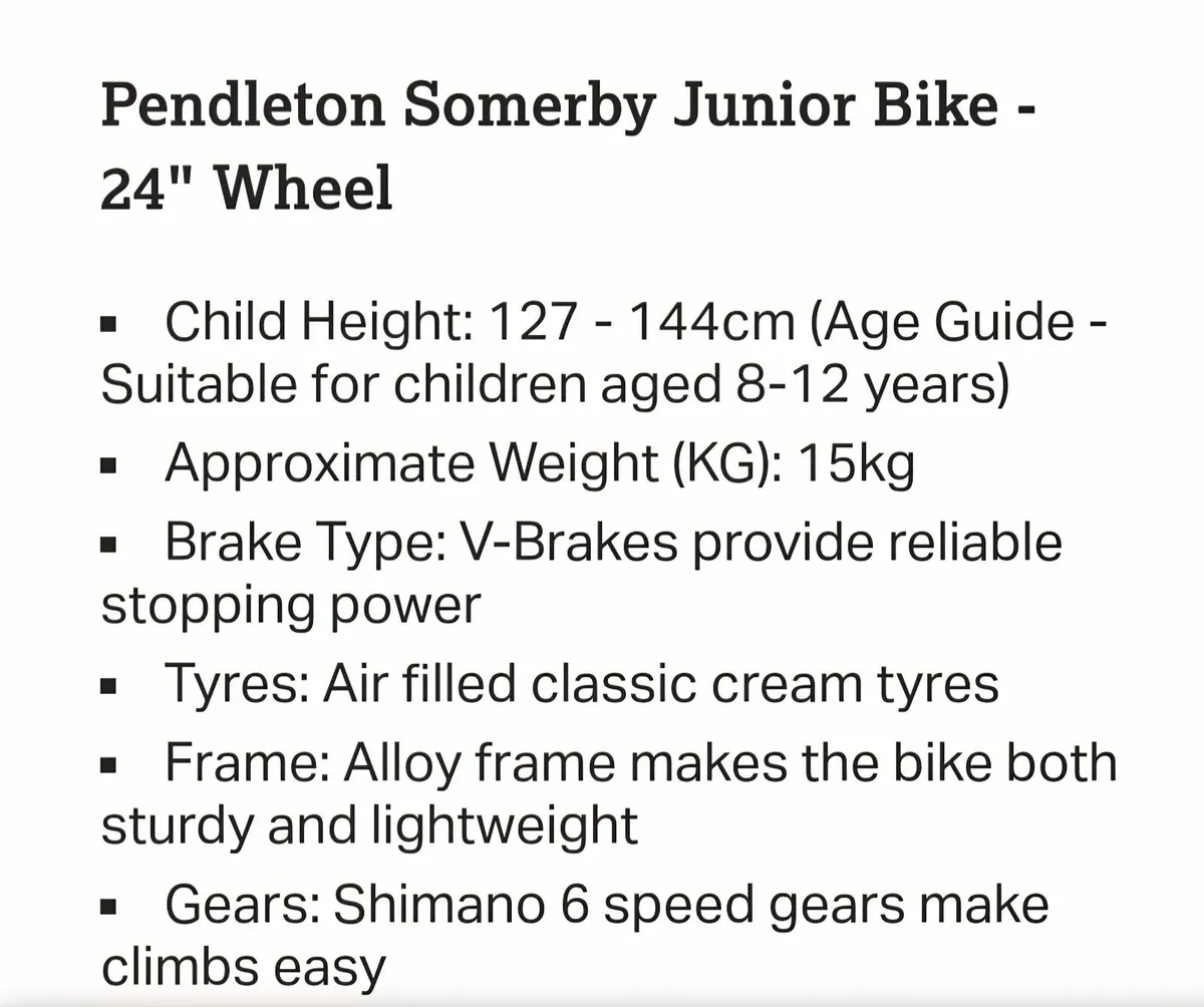 Pendleton Childs Bike - Image 2