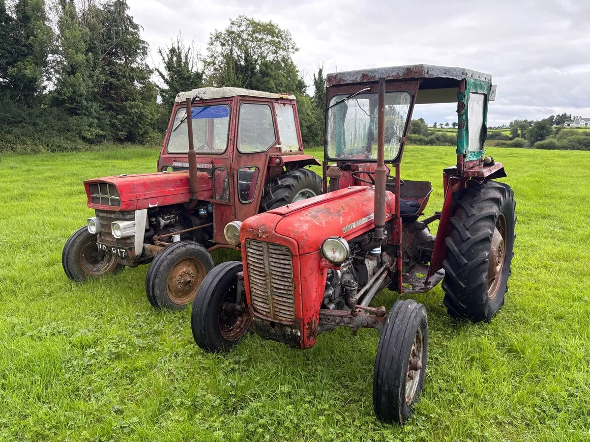 Massey Fergusons - Image 1