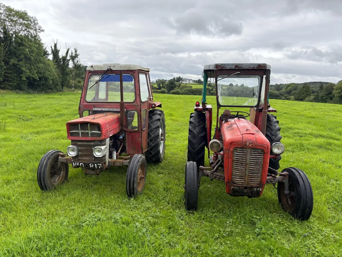 Massey Fergusons - Image 2