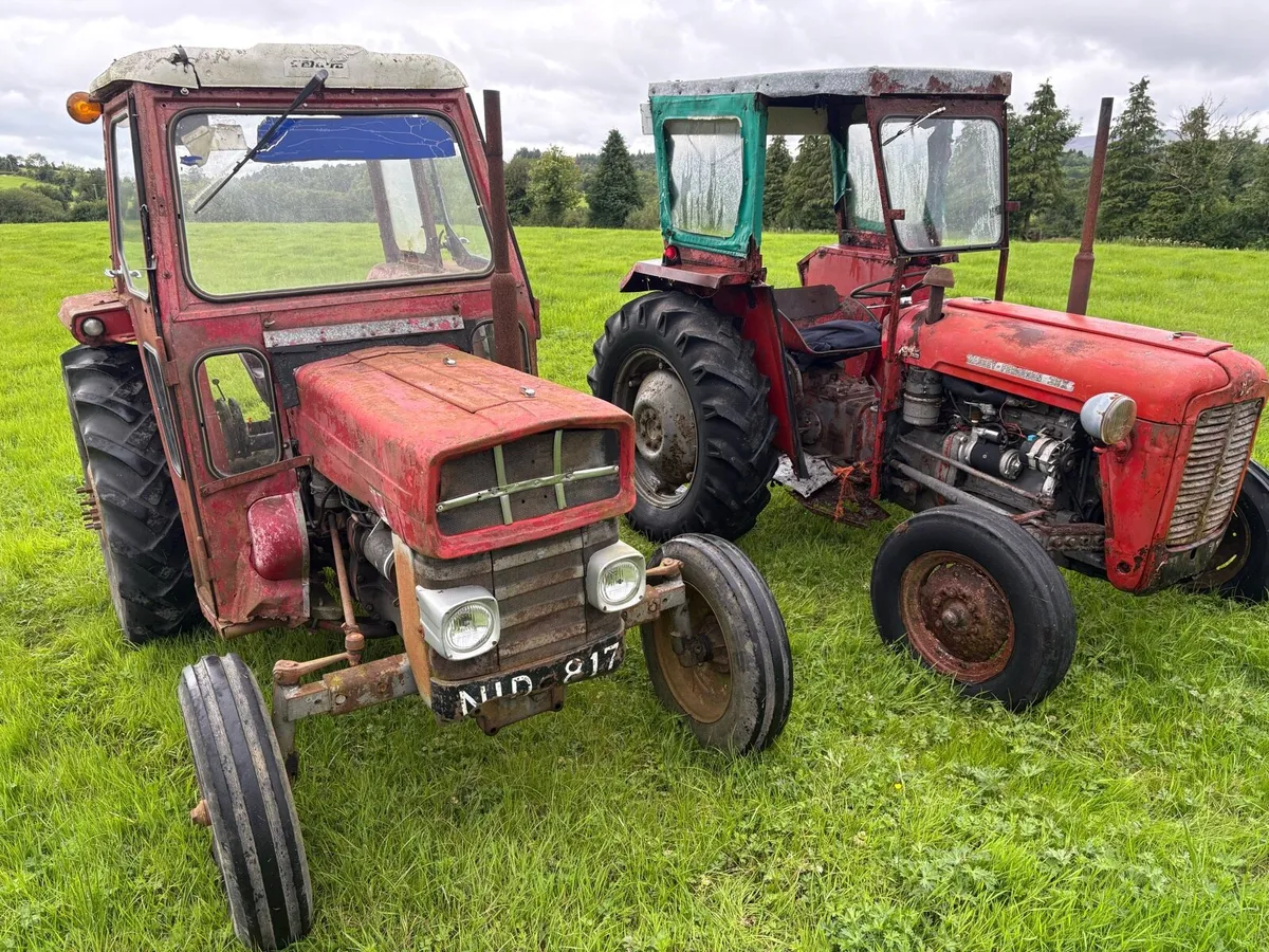 Massey Fergusons - Image 1