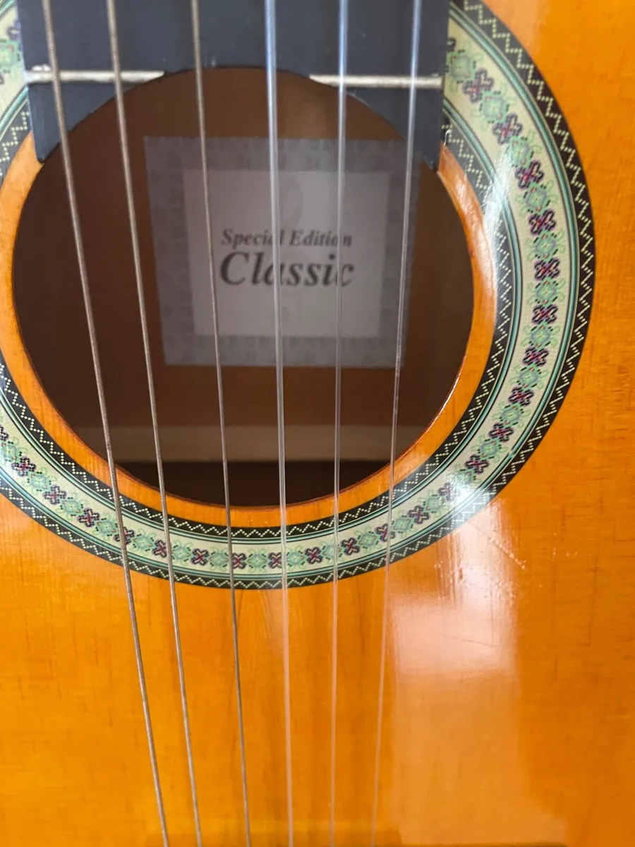 Guitar - Image 1
