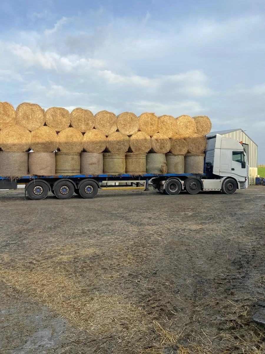 Straw - Image 1