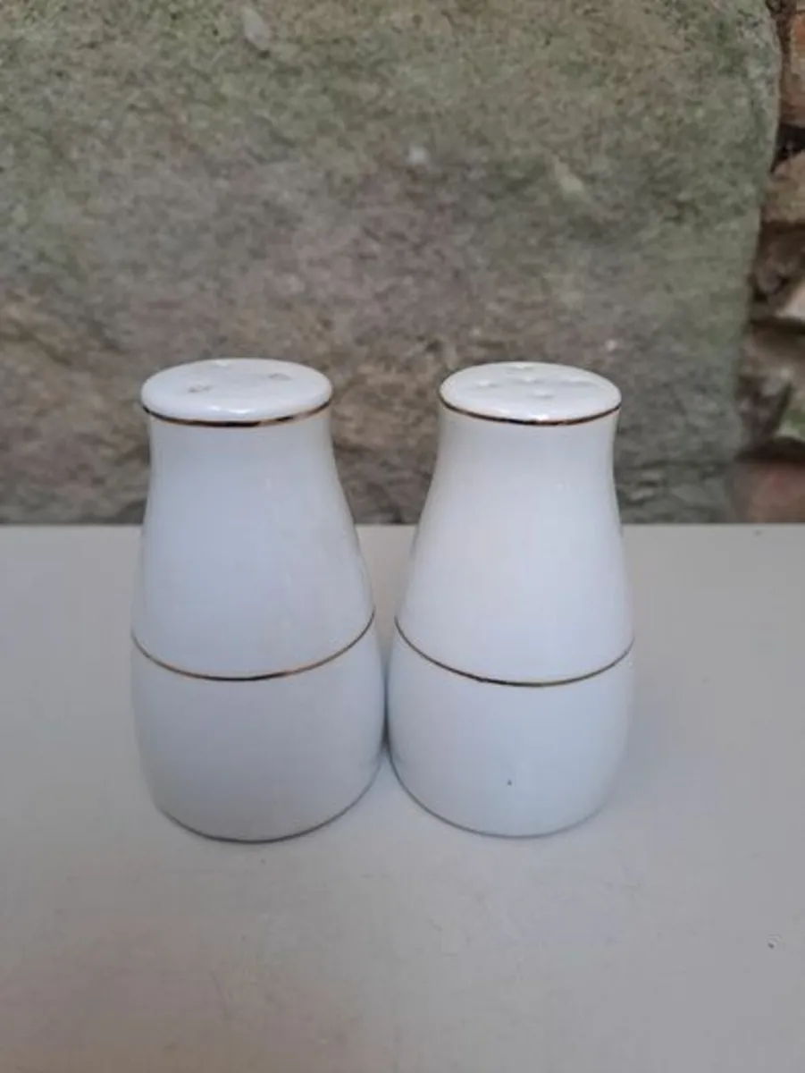 Classic white and gold salt and pepper pots - Image 1