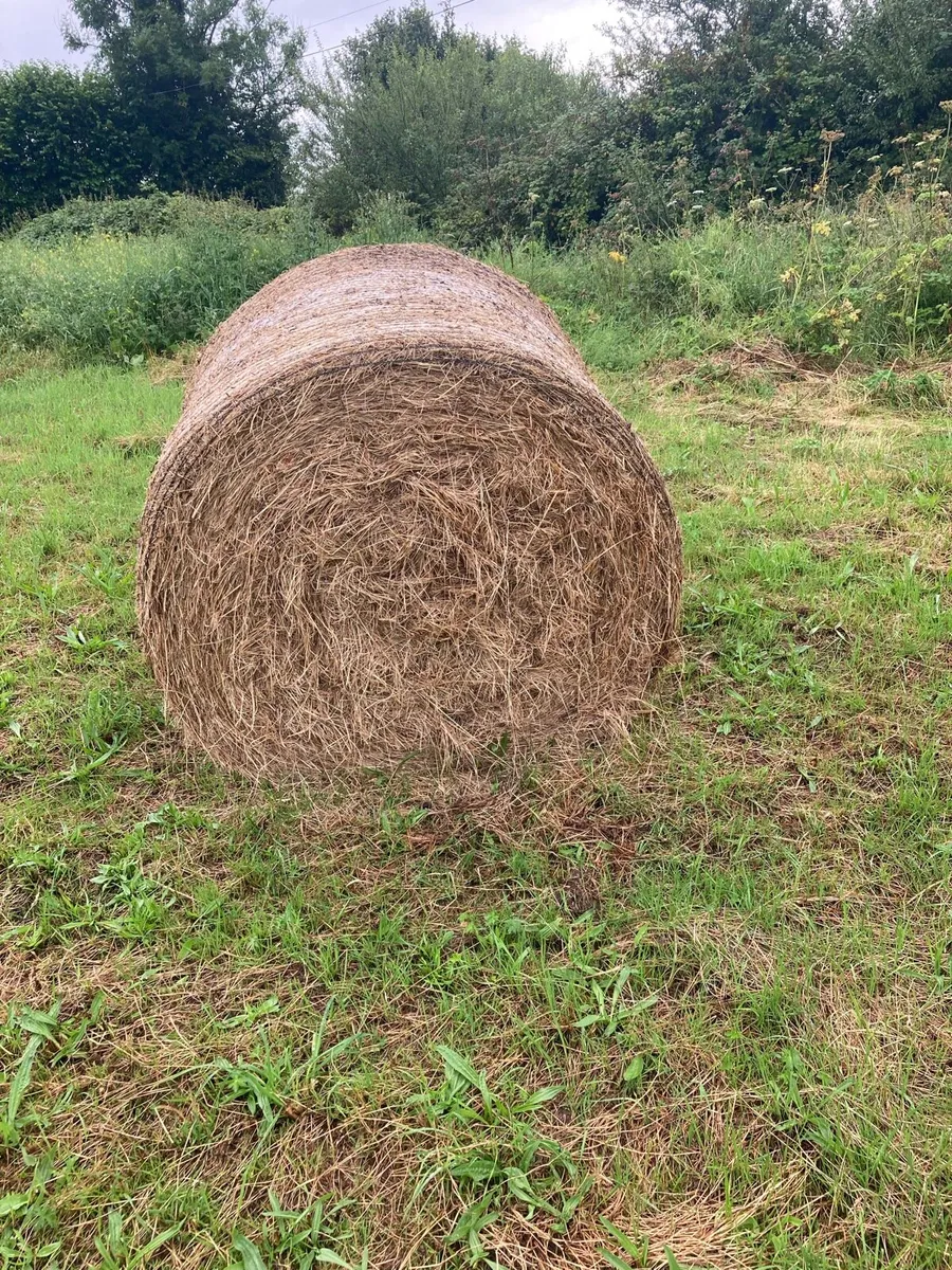 4 X4 hay