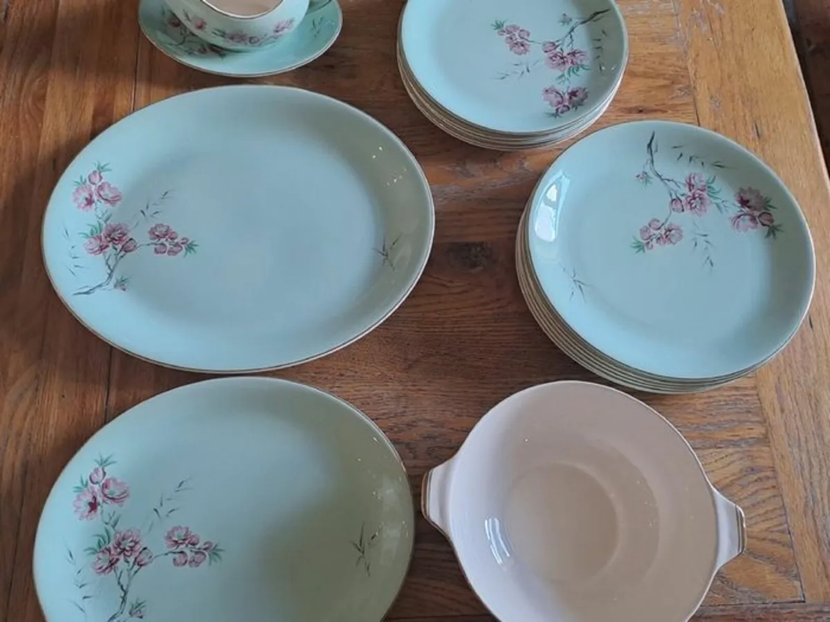 16 piece Alfred Meakin dinnerset - Image 2