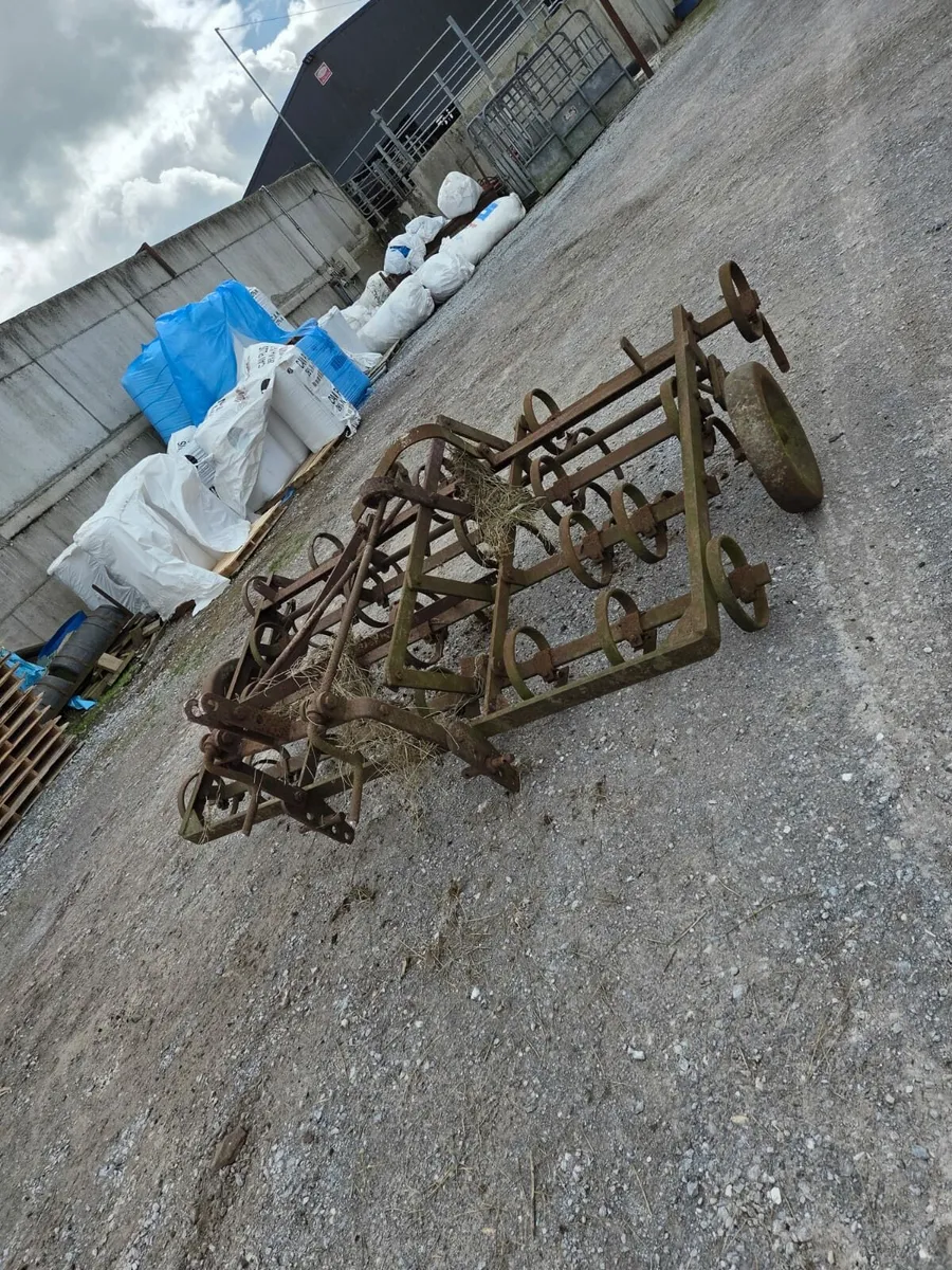 Harrow Spring Tooth - Image 2