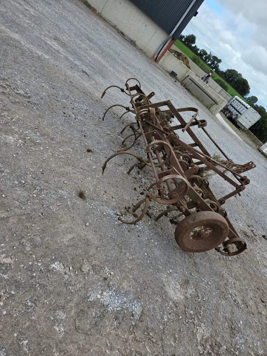 Harrow Spring Tooth - Image 3