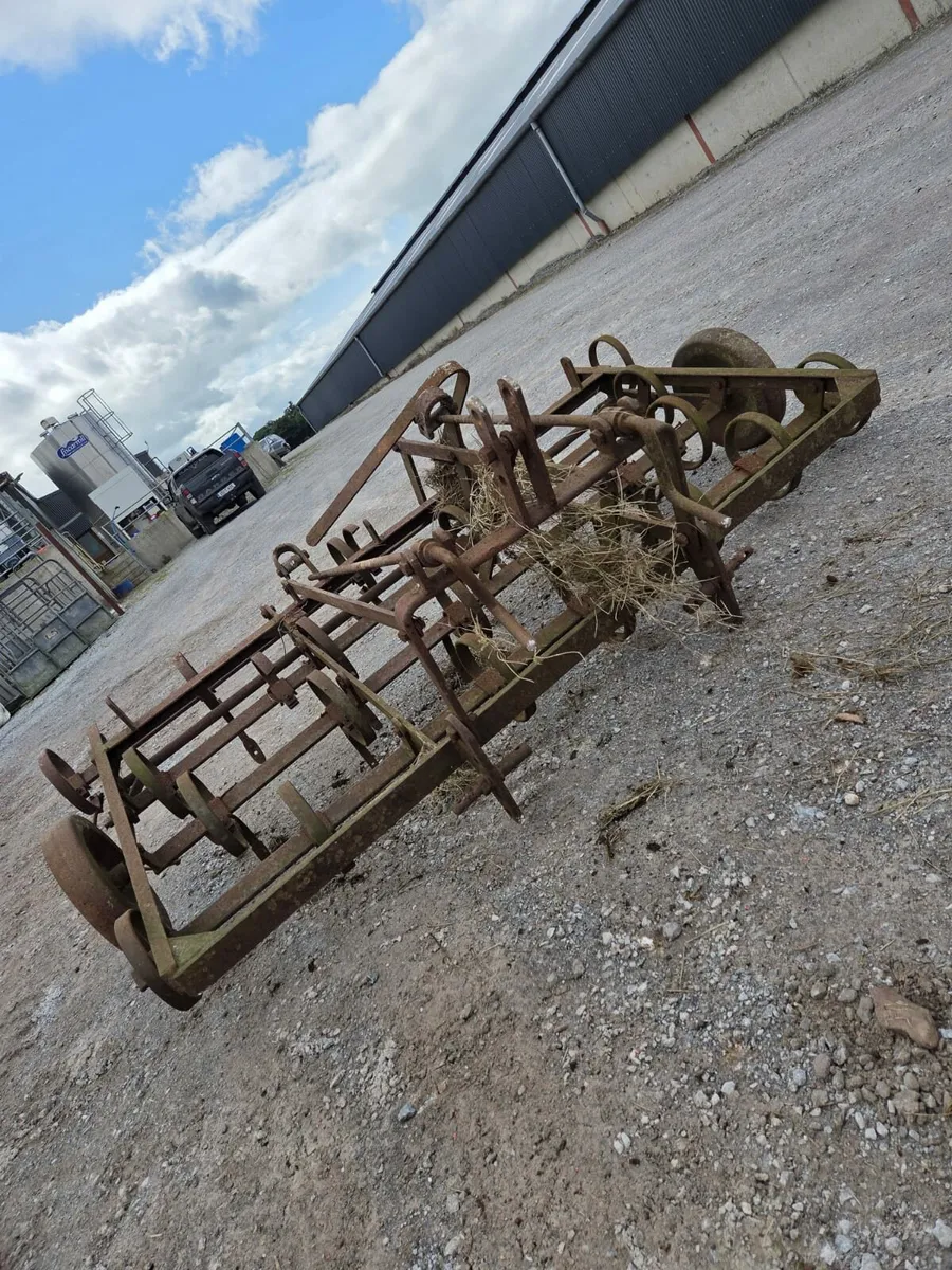 Harrow Spring Tooth - Image 4