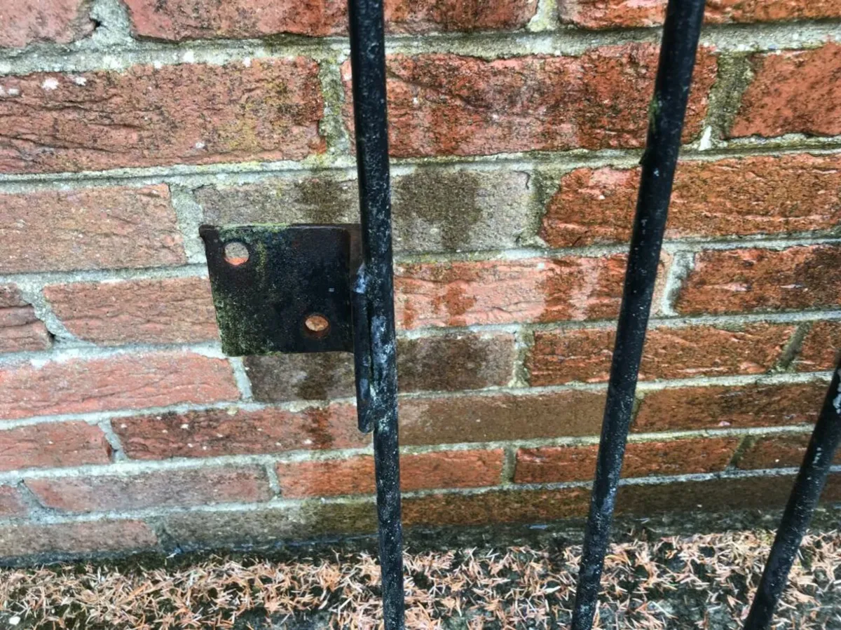 Iron Garden Railing - Image 2