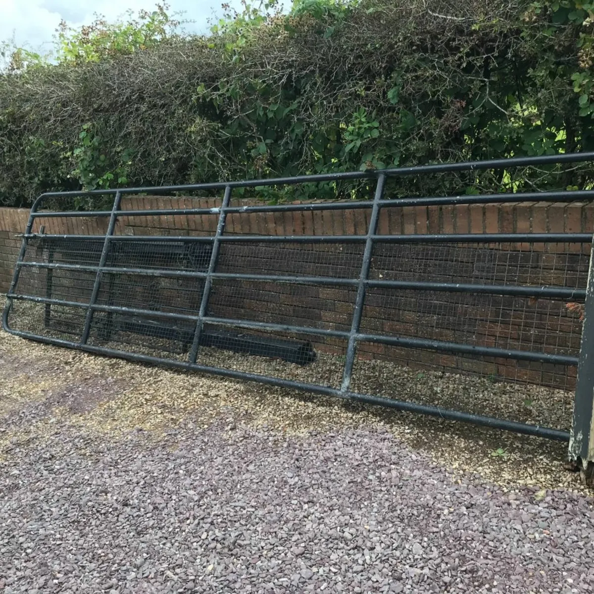 Double Lock Farm  Gate - Image 1