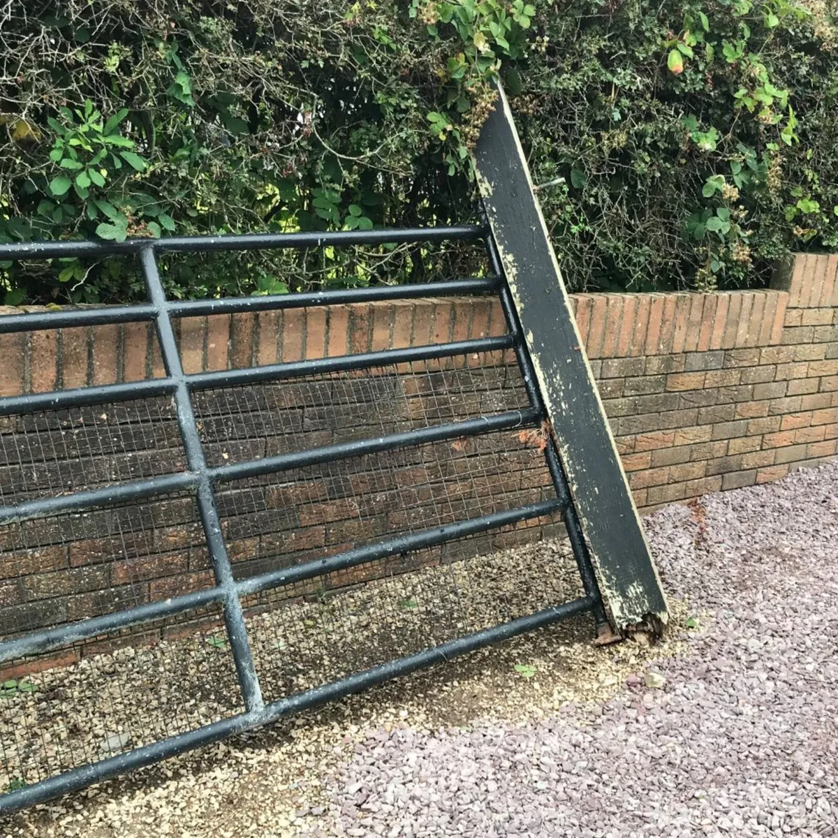 Double Lock Farm  Gate - Image 3