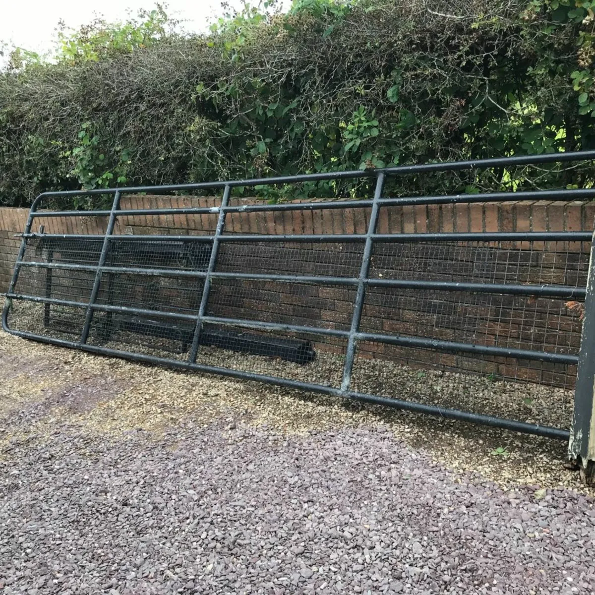 Double Lock Farm  Gate - Image 4