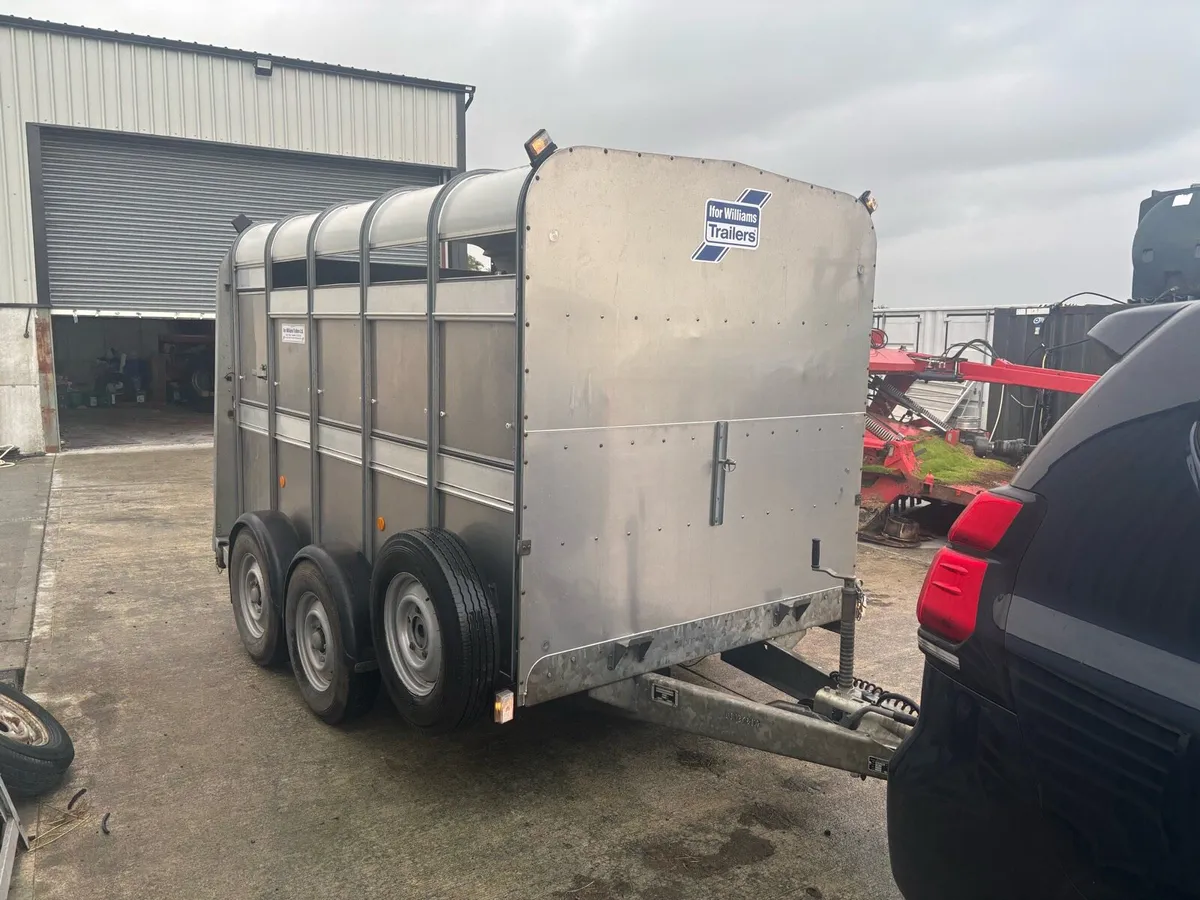 Ivor Williams 10x6 livestock trailer - Image 1