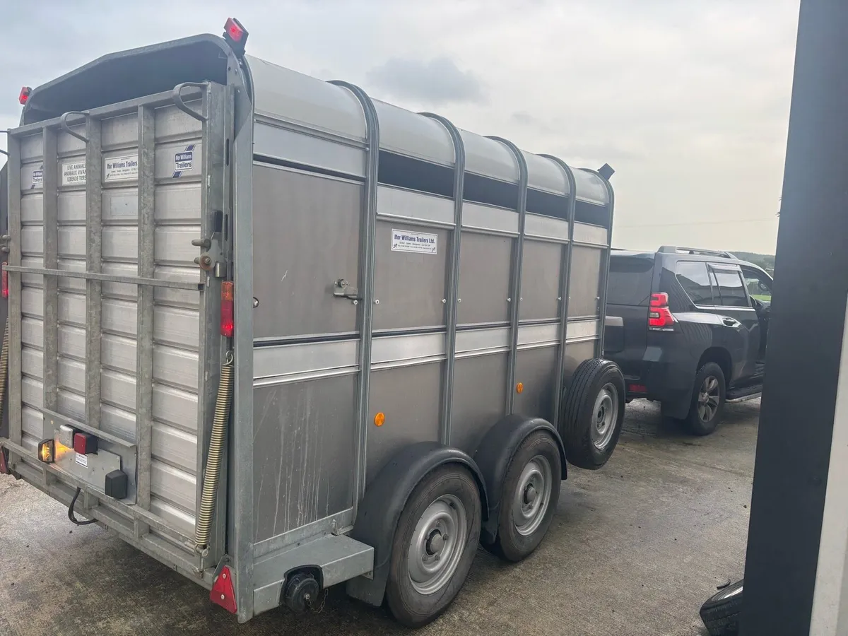Ivor Williams 10x6 livestock trailer - Image 2