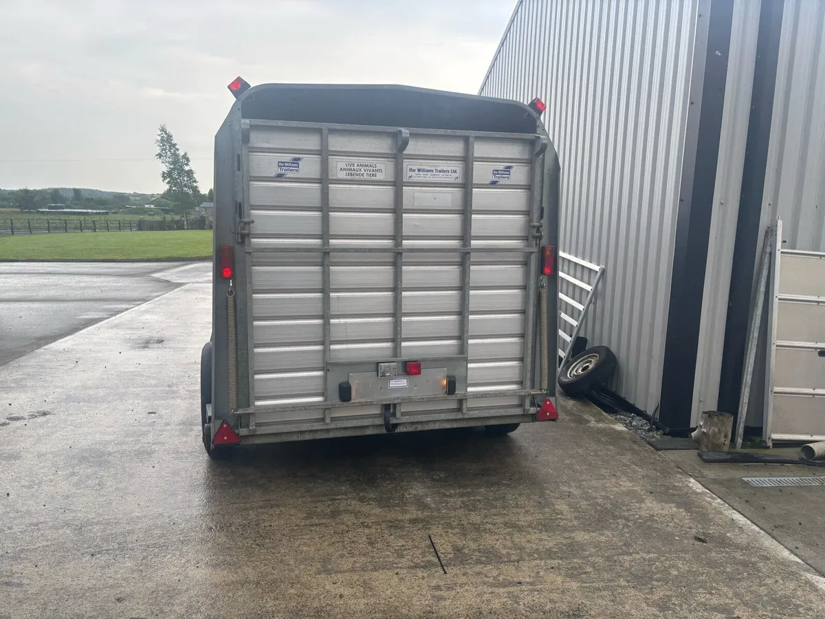 Ivor Williams 10x6 livestock trailer - Image 3