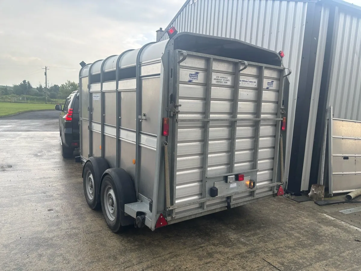 Ivor Williams 10x6 livestock trailer - Image 4