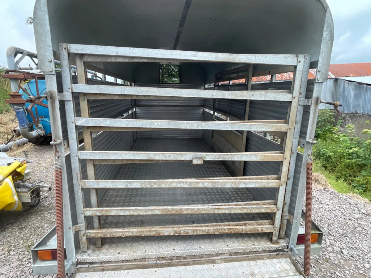 Porter 13ft x 5ft 9” cattle trailer - Image 3