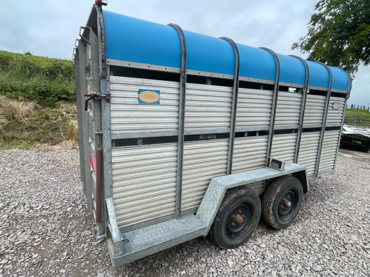 Porter 13ft x 5ft 9” cattle trailer - Image 2