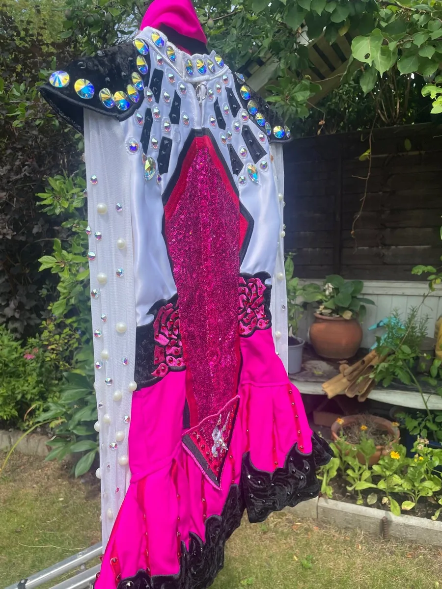 Irish Dancing Dress - Image 2