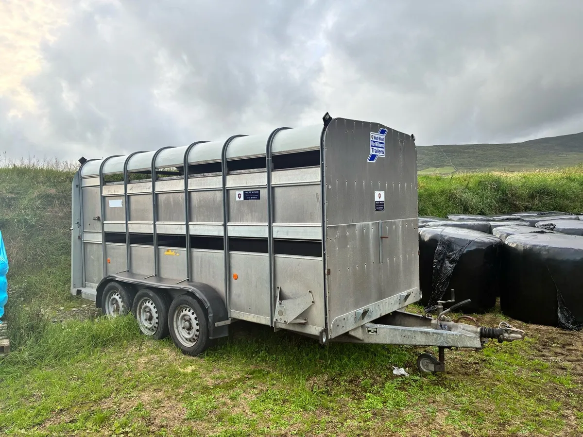 Ifor Williams trailer - Image 1