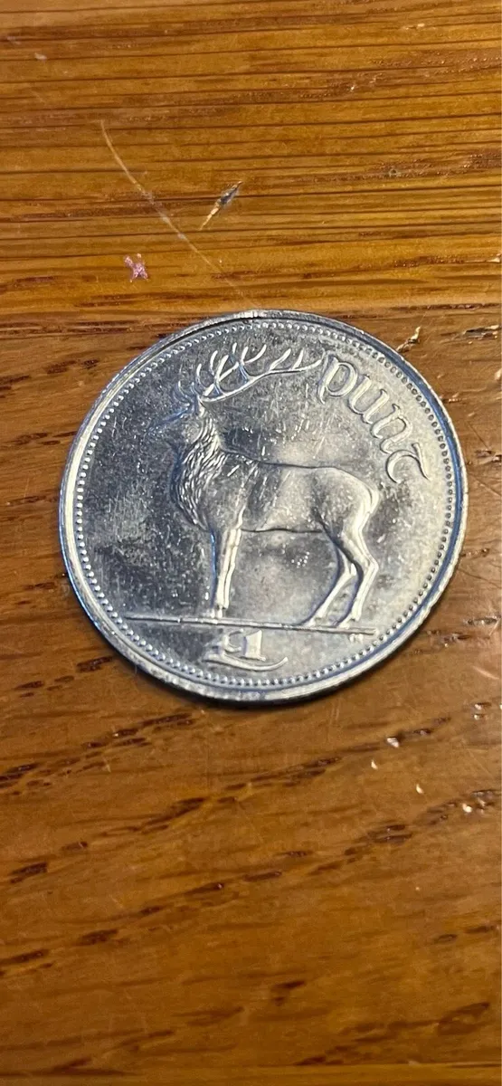 £1 punt coin 2000