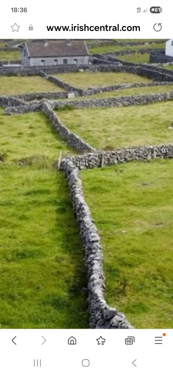 Field stone wanted